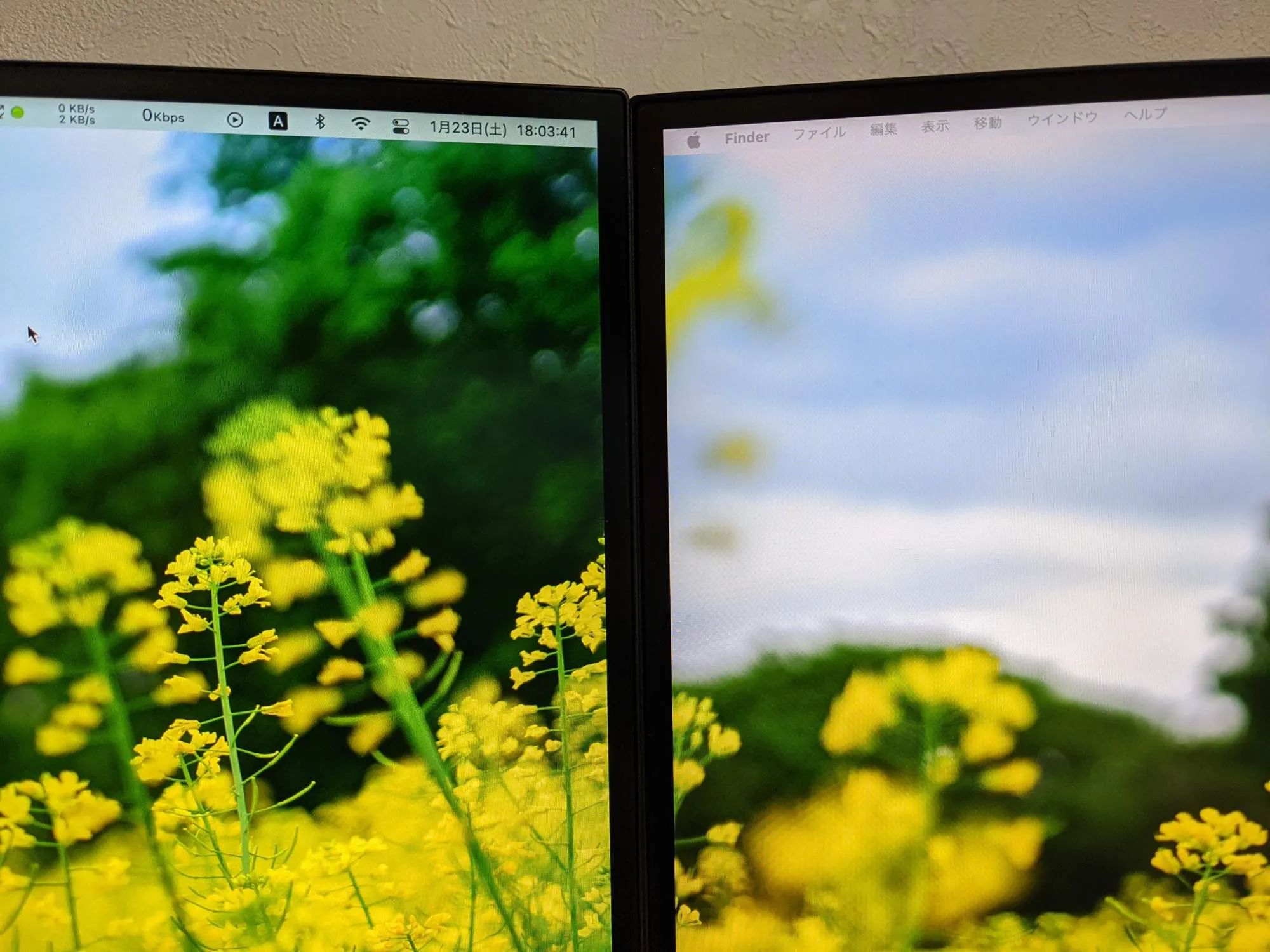 th_PXL_20210123_090340904