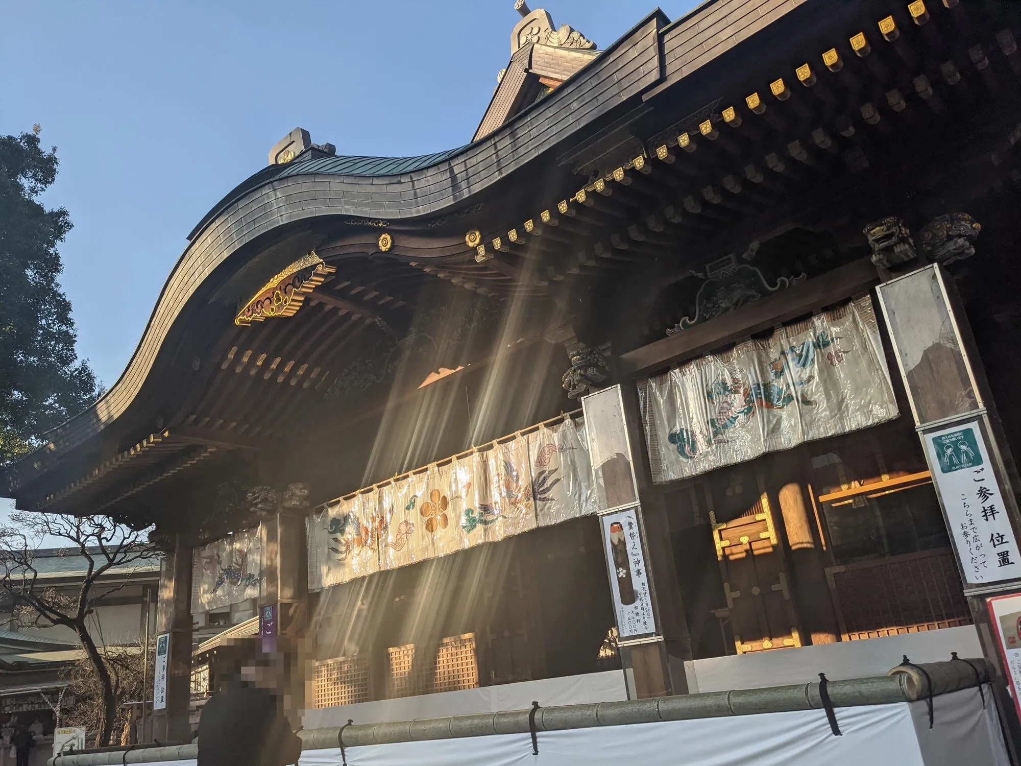 th_PXL_20210121_062028533-2