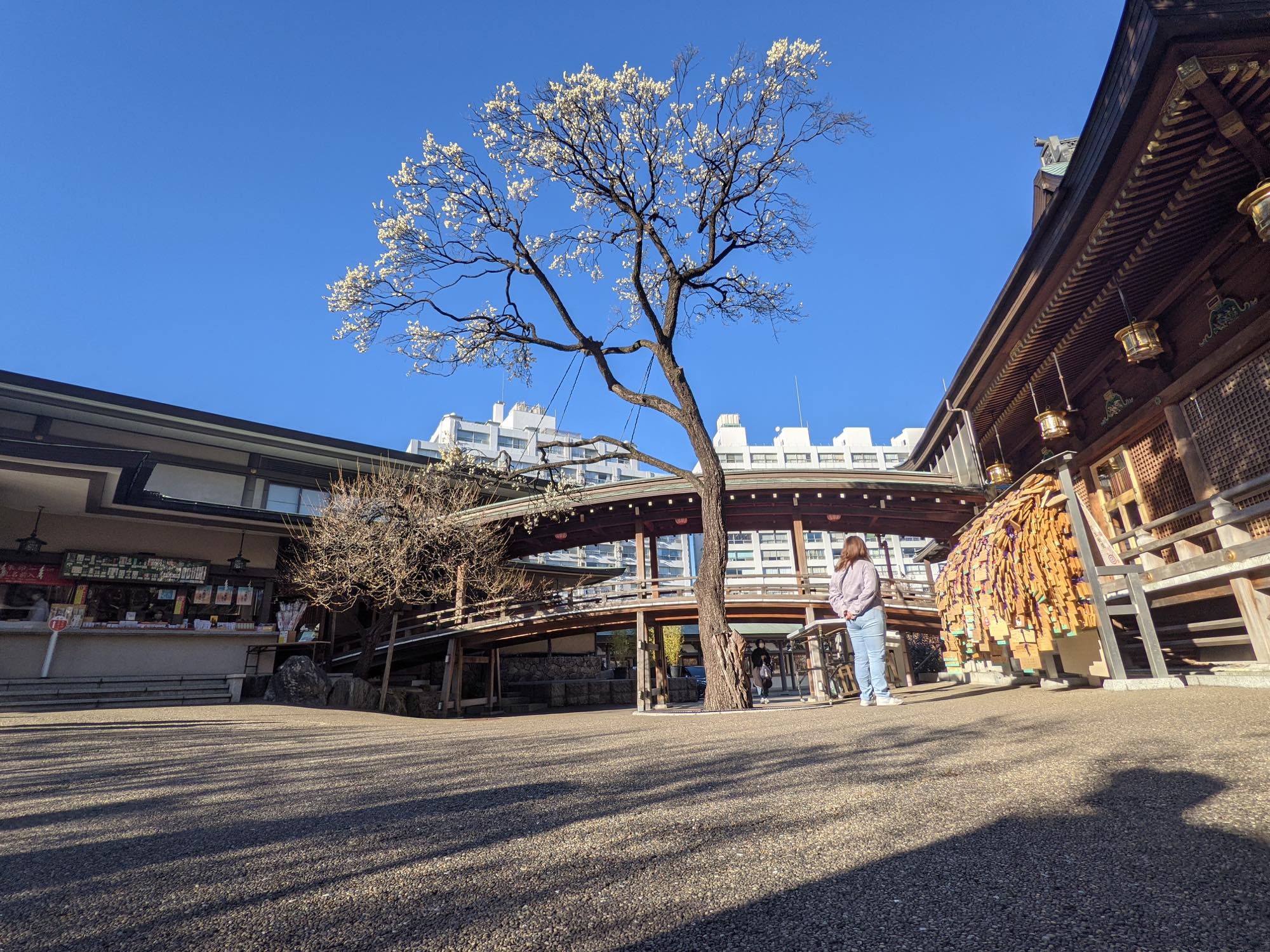 th_PXL_20210209_060705448