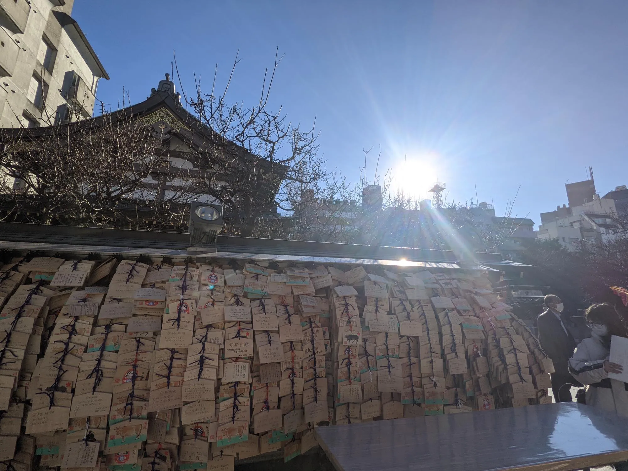 th_PXL_20210209_060805642