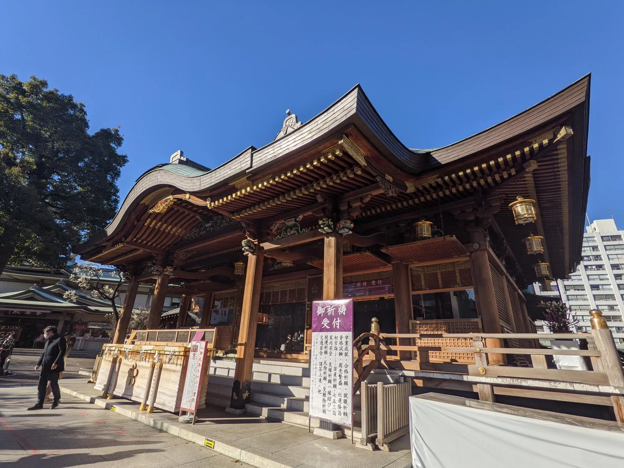 th_PXL_20210209_060824885