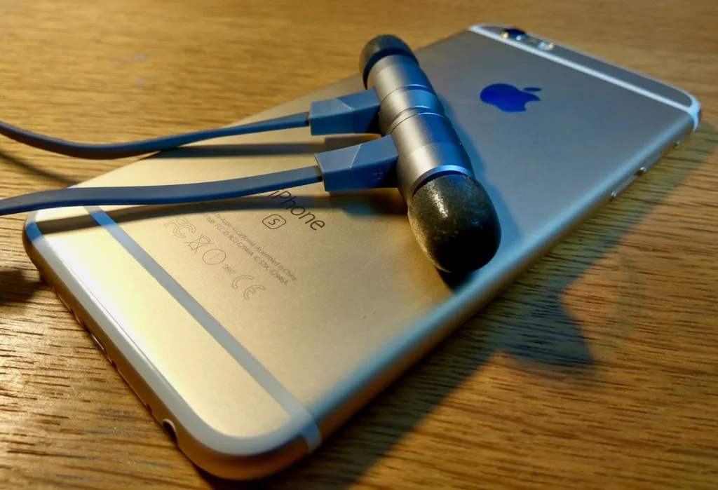 f:id:okakennn:20161203191016j:plain