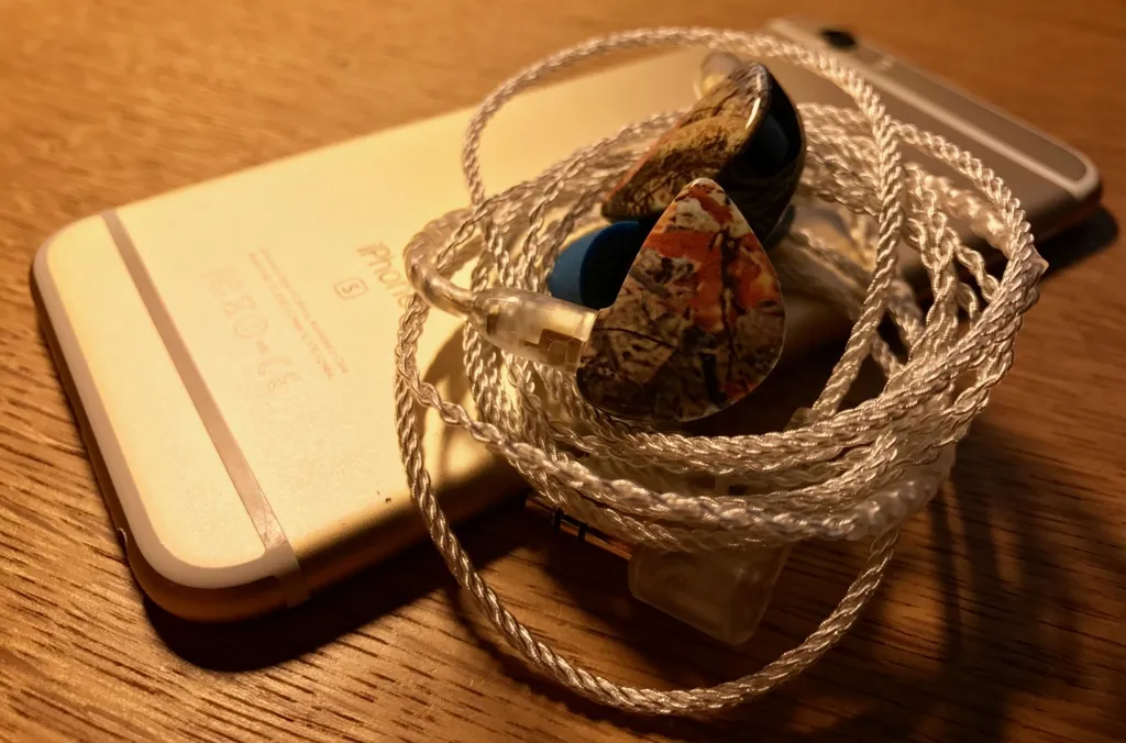 f:id:okakennn:20161223011842j:plain